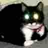 Hidden image